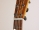 mP1110139.jpg