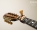 m_3307244.jpg